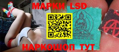 прущие грибы Донецк