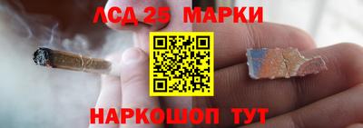 прущие грибы Донецк