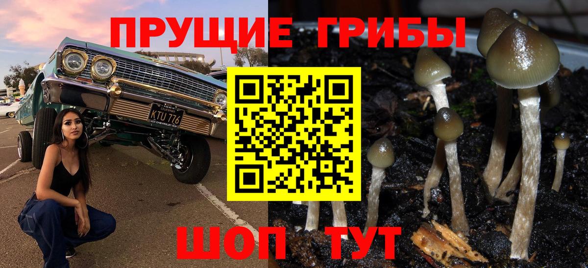 Псилоцибиновые грибы мицелий  Вход с VPN  Учалы 